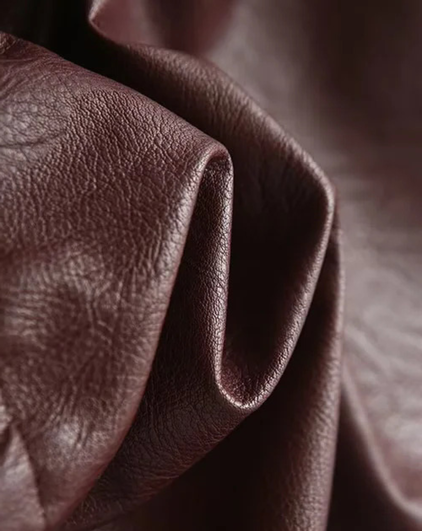 Vera Leather Jacket | Bordeaux Rood